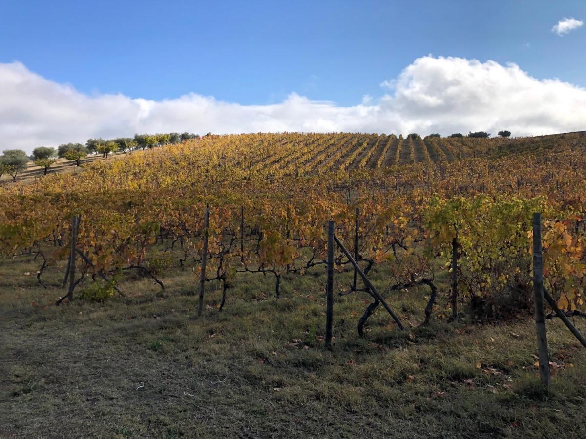 Отель Quinta Da Pereira E Enricas Agro-Turismo Вила-Флор Экстерьер фото