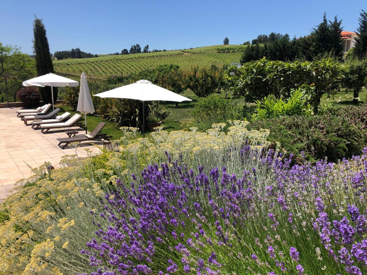 Отель Quinta Da Pereira E Enricas Agro-Turismo Вила-Флор Экстерьер фото