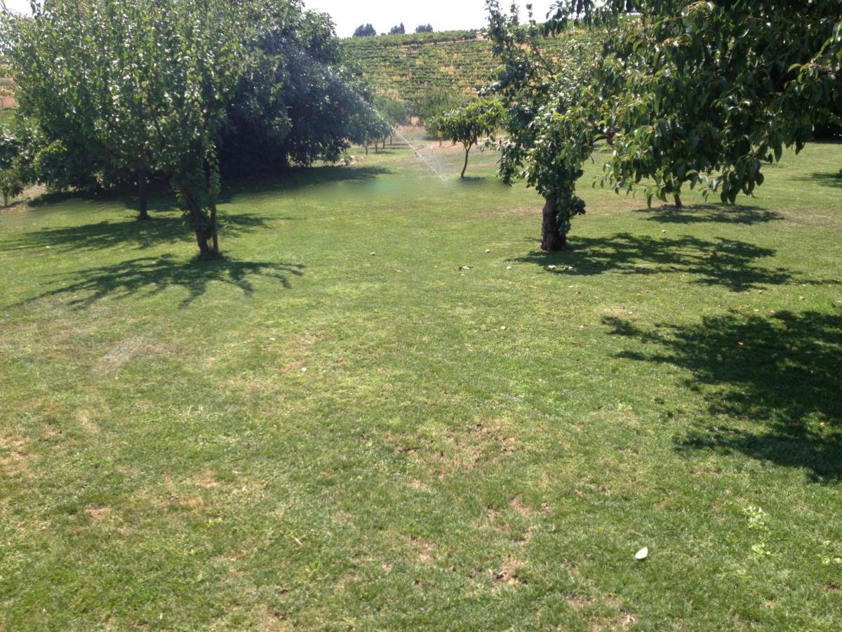 Отель Quinta Da Pereira E Enricas Agro-Turismo Вила-Флор Экстерьер фото