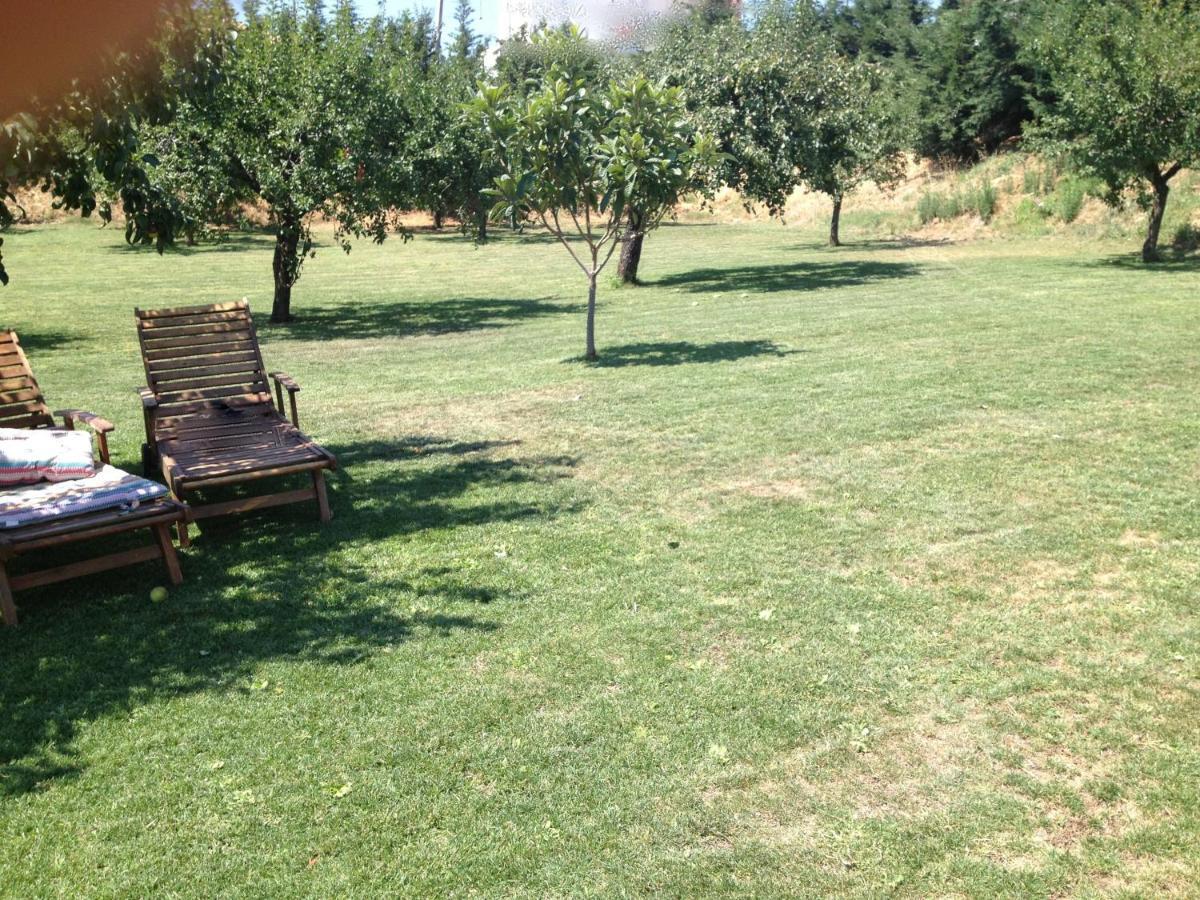 Отель Quinta Da Pereira E Enricas Agro-Turismo Вила-Флор Экстерьер фото